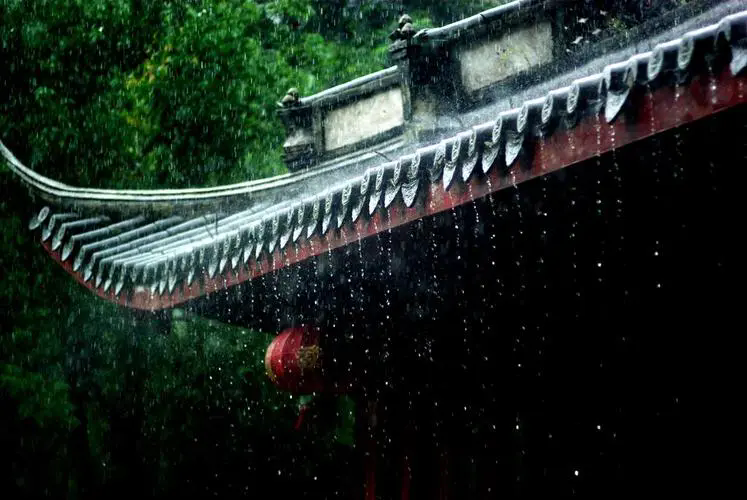 夏至以至，雨带大挪移，这些事情你要了解哦！