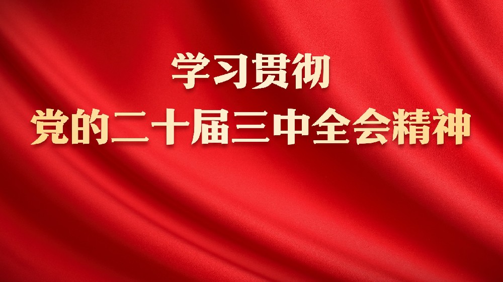 学习贯彻党的二十届三中全会精神 推动现代职业教育体系建设开新局
